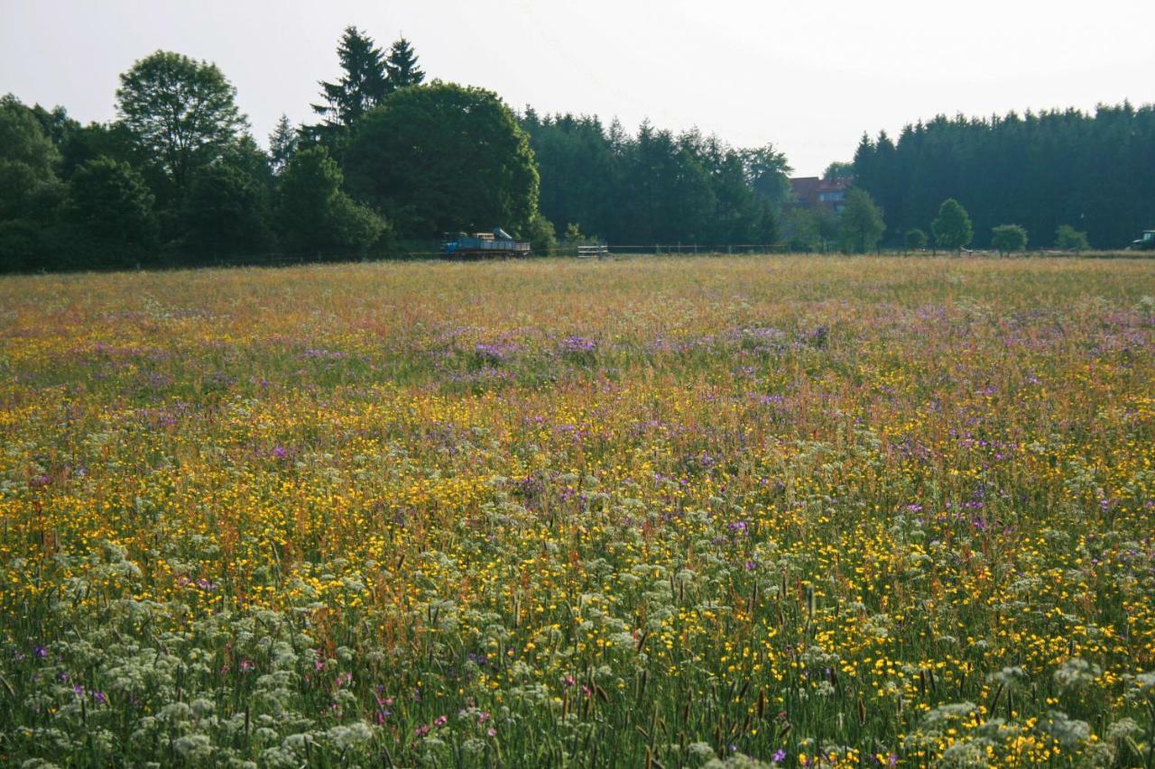 Haus Am Oberen Eschenbacher Teich Holiday home *